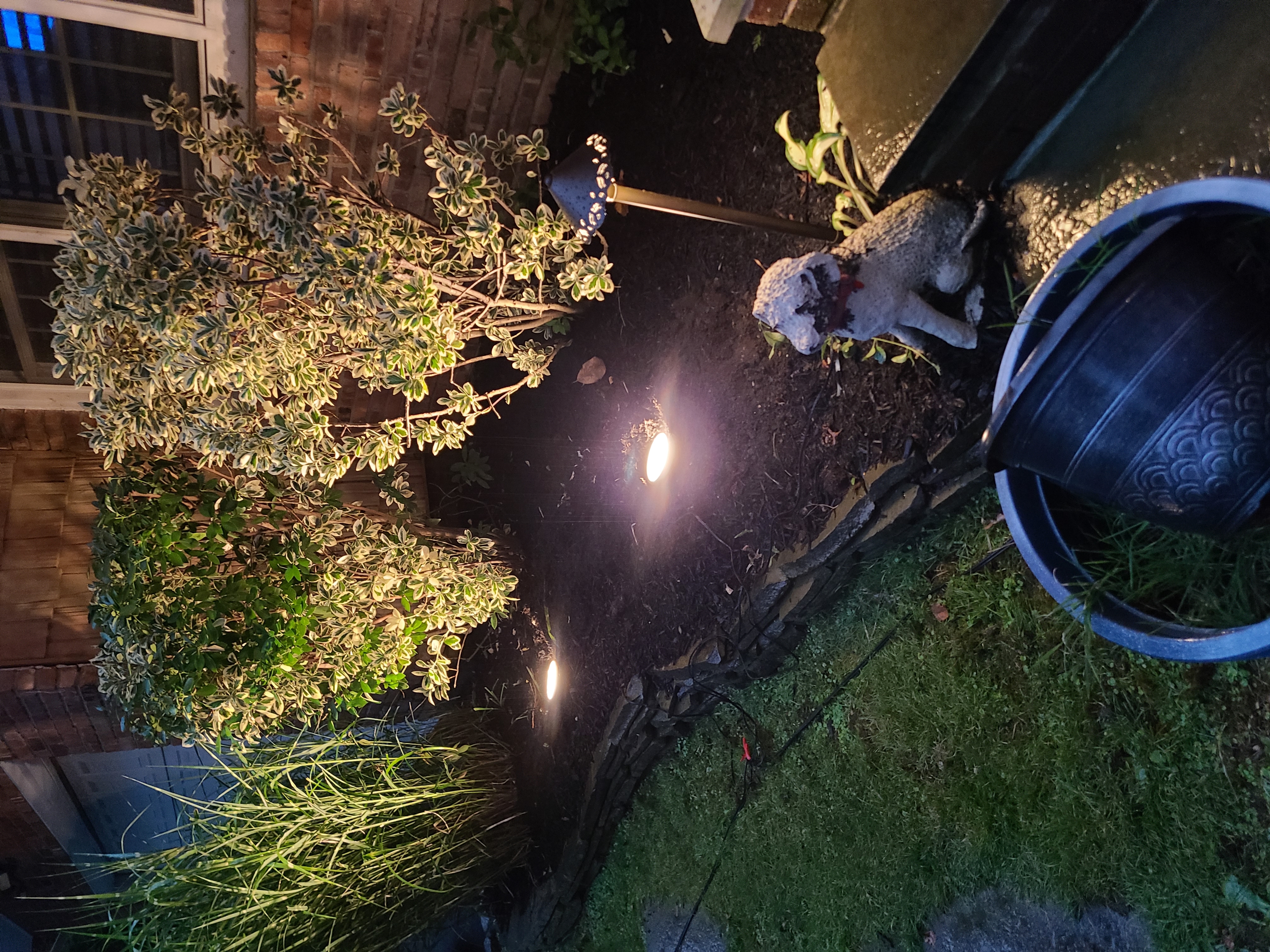 In-ground well lights installed under shrubs